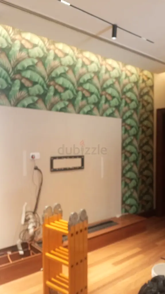 DPV_View_Image_1