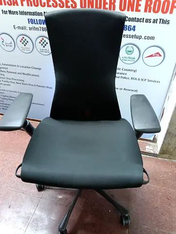 Herman Miller Embody Ergonomic chair for selling