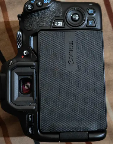 Canon 250d camera