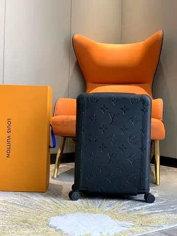 Louis vuitton suitcase