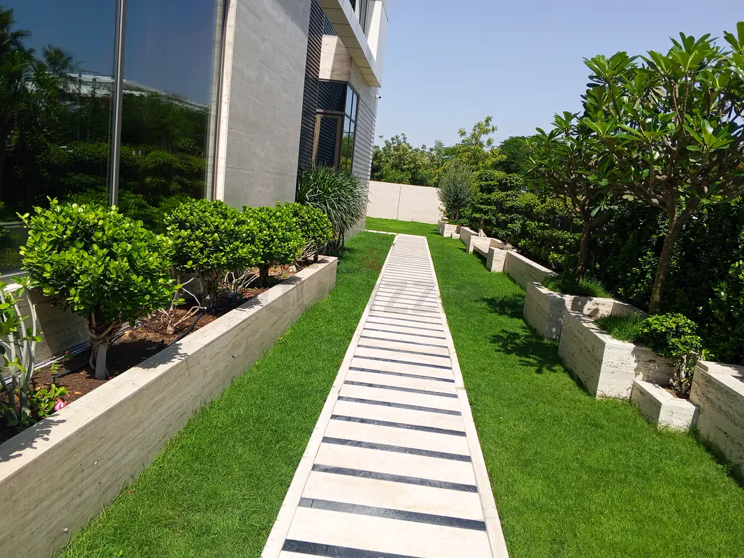 DPV_View_Image_1