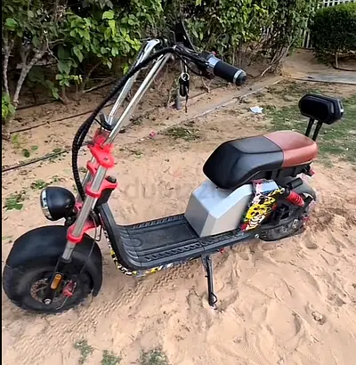 Electric bike Harley two batteries