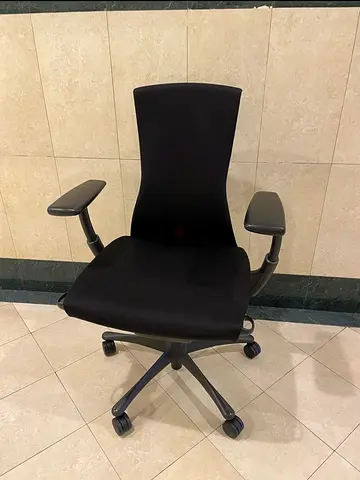Herman Miller Ergomanic Embody Chairs For selling