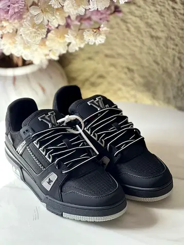 Louis vuitton LV trainer sneakers