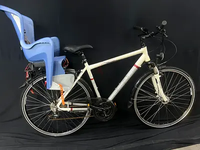 Road or hybrid bike