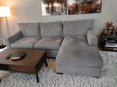 Crate and barrel velvet axis model sofa