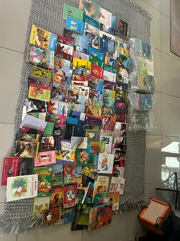 Large mixed collection of children's French books