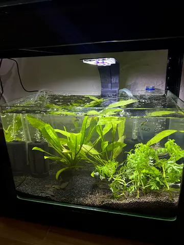 Aquarium