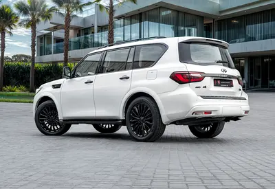 2023 Infiniti QX80 照片 3