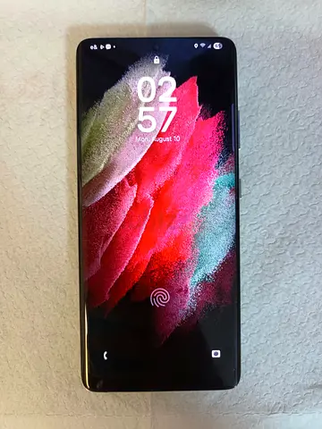 Samsung S21 Ultra (Only screen change)