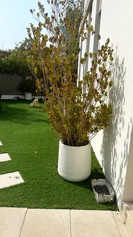 Large outdoor planter with. White vase turf section — used, good condition