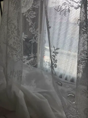 White Sheer Lace and white linen Curtains + curtain rod - Light Filtering, Used