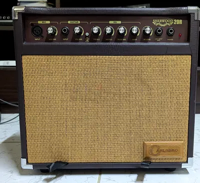 Sherwood 20R Acoustic Guitar Amplifier