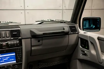 2009 Mercedes-BENZ G-CLASS 缩略图 18
