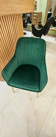 Velvet Cushioned Chair