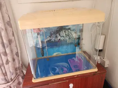 Small used fish aquarium with hood and accessories