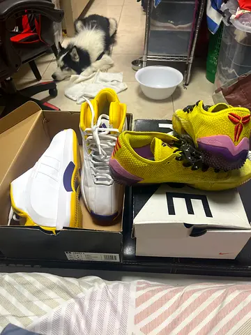 2 pairs of sneakers - Nike pairs, gently used.