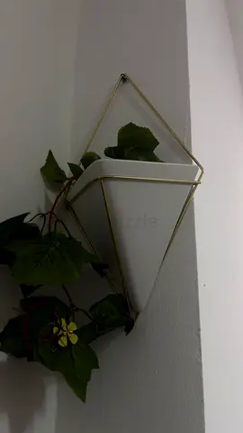 2 Wall hanging corner planter with gold frame and white pot