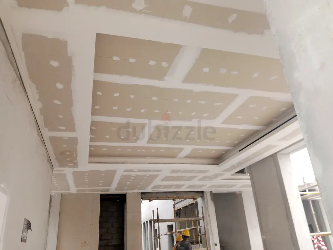 DPV_View_Image_4