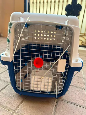 Dogs/animal carrier for air travel-GIANT size