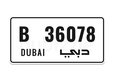 B 36078