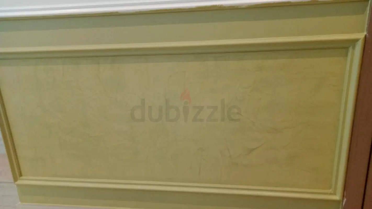 DPV_View_Image_7