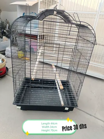 Large Bird Cage with Perches - 44x34x70cm, Good Condition