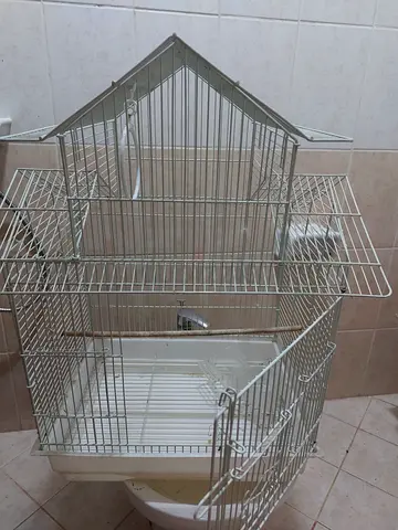 Bird cage available