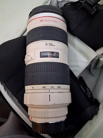 Canon Ultrasonic Lens 70-200m for Sale