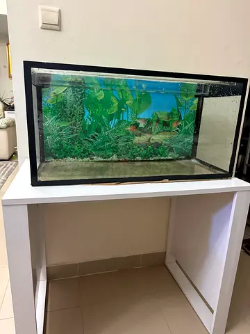 Glass fish aquarium with stand  250 aed