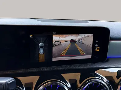 2019 Mercedes-BENZ A-CLASS 缩略图 13