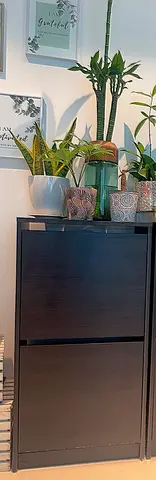 IKEA shoe rack