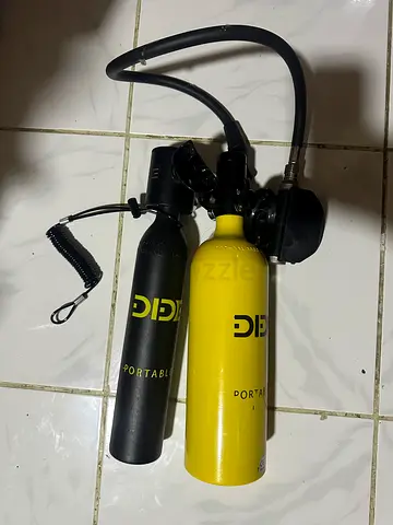 Dideep Portable lung