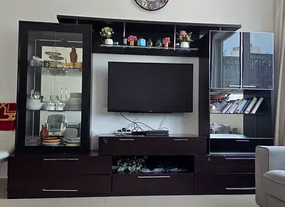 TV unit
