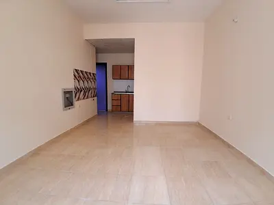READY TO MOVE BIG STUDIO APARTMENT CLOSE TO PARK ONLY FAMILY ?