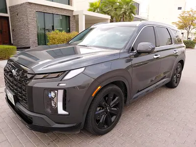 2023 Hyundai PALISADE — фото 1