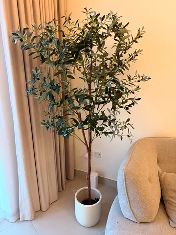 Large potted artificial olive tree in white planter