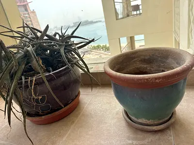 Pair of ceramic plant pots (large) - green/blue glazed