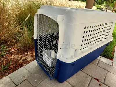 Dogs carriers for air travel extra large