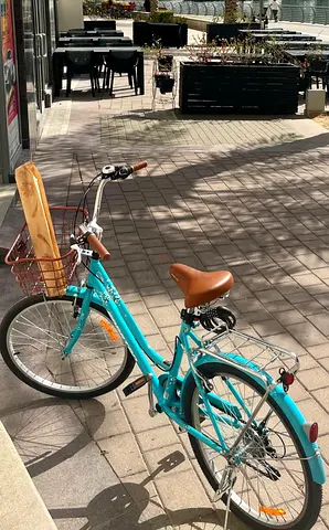 Spartan 24" TEAL ffVintage Women's Bicycle with Basket