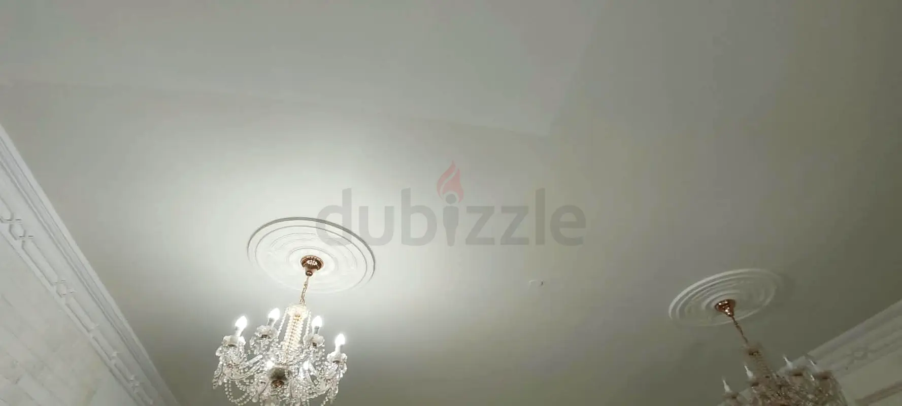 DPV_View_Image_2