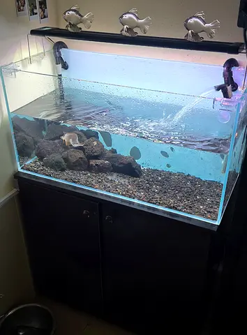 Cristal clear glass aquarium size 80x35x40 cm with wooden cabinet stand , hygger automatic light