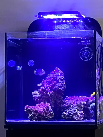Black Diamond All-In-One Aquarium
