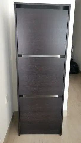 Shoe cabinet