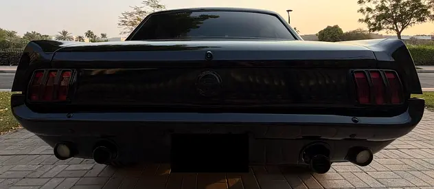 1966 FORD MUSTANG 照片 12