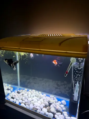 Aquarium
