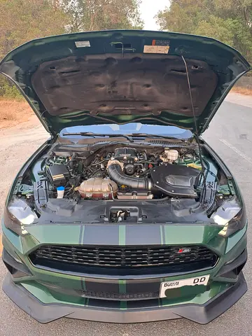 Ford Mustang Roush, миниатюра 12