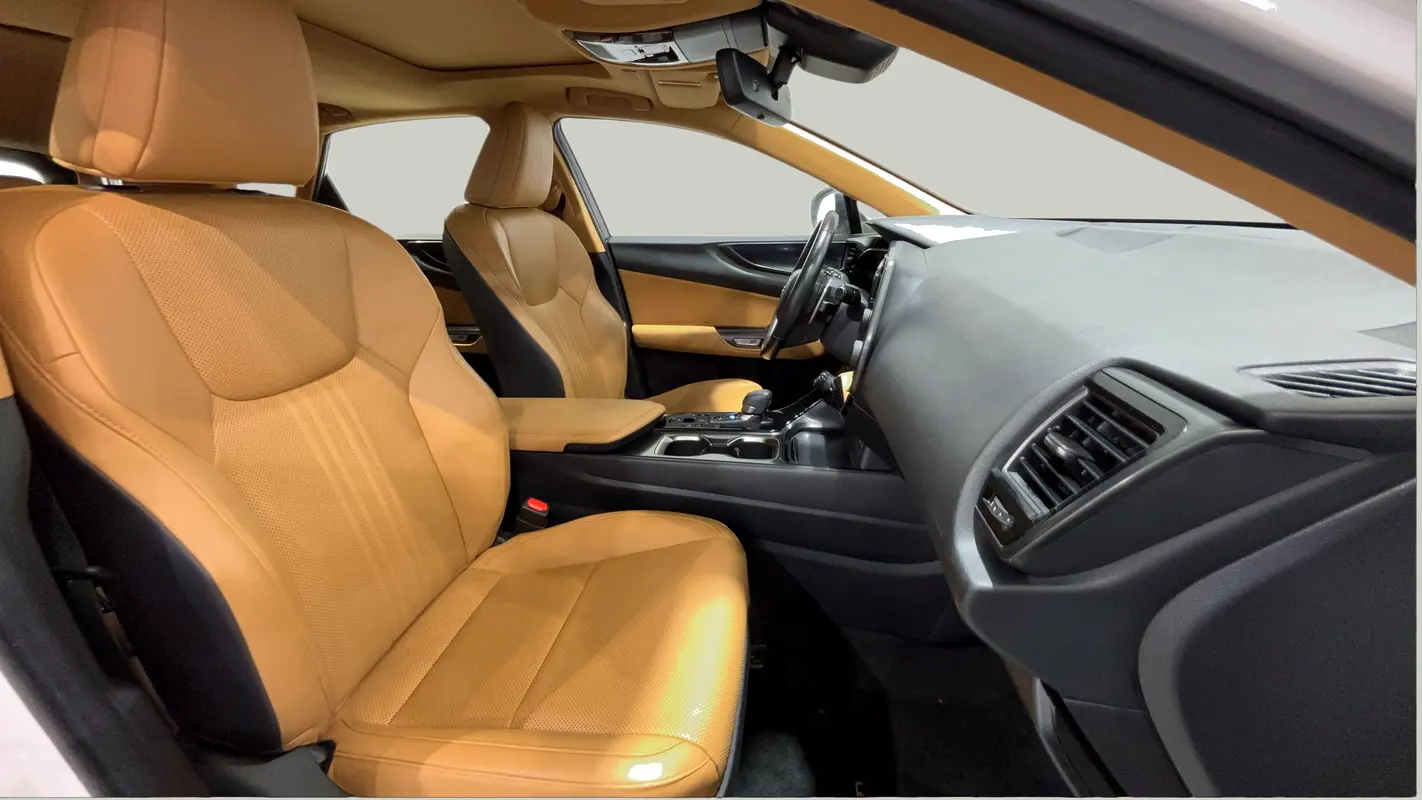 Lexus NX-Series 2023