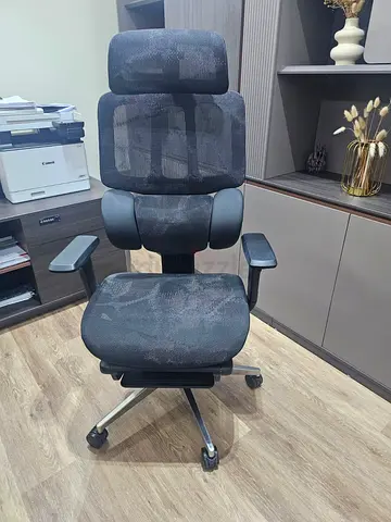 Ergonomic Mesh Office Chair with Headrest and Lumbar Support