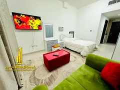 Luxury second-occupancy studio apartment with a separate kitchen and open balcony. Fully furnished.